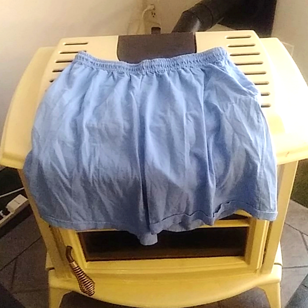 Fruit Of The Loom Shorts